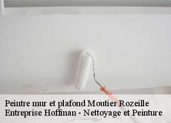 Peintre mur et plafond  23200