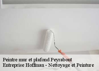 Peintre mur et plafond  23000