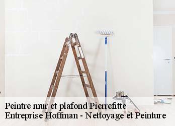 Peintre mur et plafond  23130