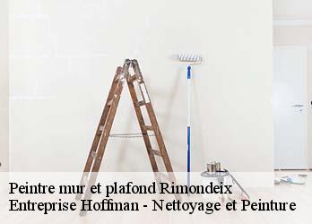 Peintre mur et plafond  23140