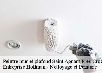 Peintre mur et plafond  23260