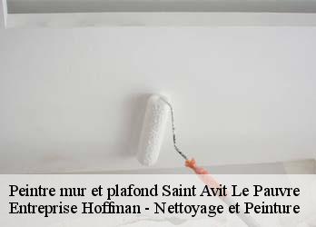 Peintre mur et plafond  23480