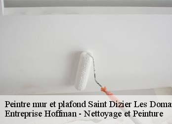 Peintre mur et plafond  23270