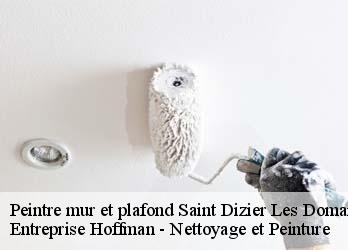 Peintre mur et plafond  23270