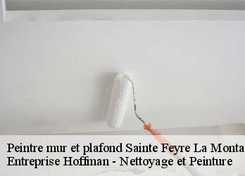 Peintre mur et plafond  23500