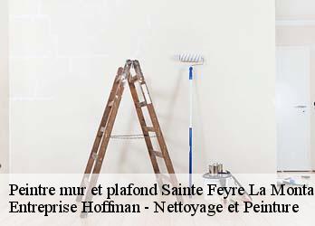 Peintre mur et plafond  23500