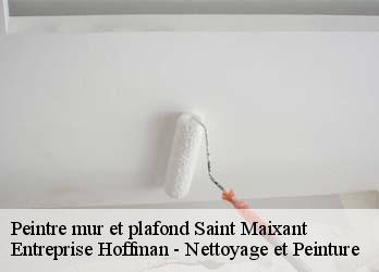 Peintre mur et plafond  23200