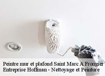 Peintre mur et plafond  23200