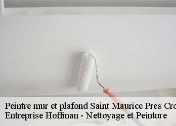 Peintre mur et plafond  23260