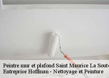 Peintre mur et plafond  23300