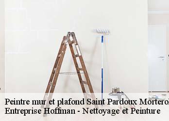 Peintre mur et plafond  23400