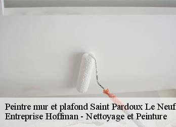 Peintre mur et plafond  23200