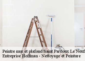 Peintre mur et plafond  23200