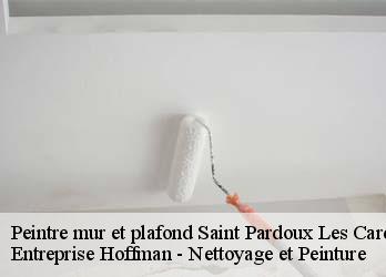 Peintre mur et plafond  23150