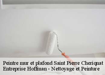 Peintre mur et plafond  23430