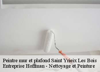 Peintre mur et plafond  23150