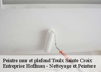 Peintre mur et plafond  23600