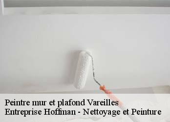 Peintre mur et plafond  23300