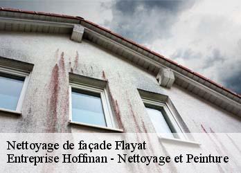 Nettoyage de façade  23260