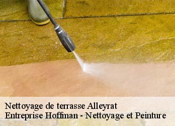 Nettoyage de terrasse  23200