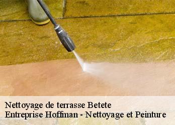 Nettoyage de terrasse  23270