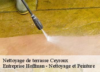 Nettoyage de terrasse  23210