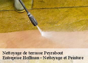 Nettoyage de terrasse  23000