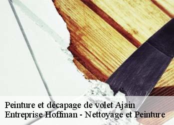 Peinture et décapage de volet  23380