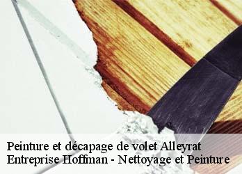 Peinture et décapage de volet  23200