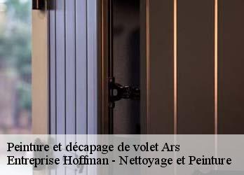 Peinture et décapage de volet  23480