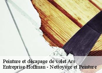 Peinture et décapage de volet  23480