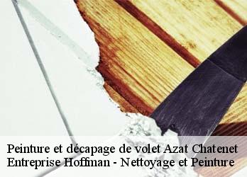 Peinture et décapage de volet  23210