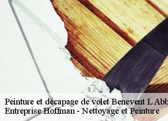 Peinture et décapage de volet  23210