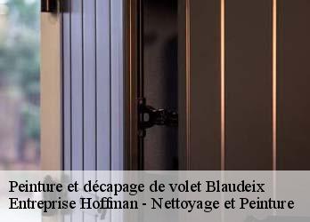 Peinture et décapage de volet  23140