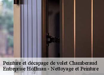 Peinture et décapage de volet  23480