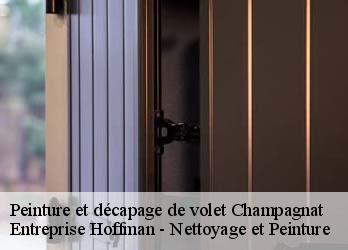 Peinture et décapage de volet  23190