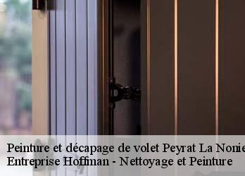 Peinture et décapage de volet  23130