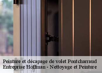 Peinture et décapage de volet  23260