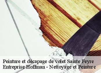 Peinture et décapage de volet  23000