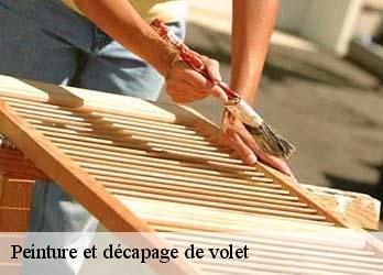 Peinture et décapage de volet  23000