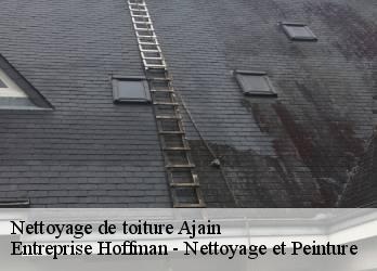 Nettoyage de toiture  23380