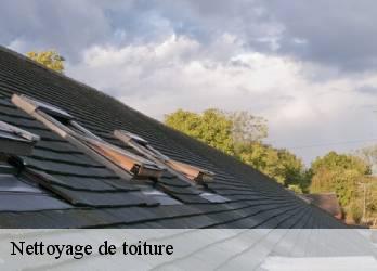 Nettoyage de toiture  23380