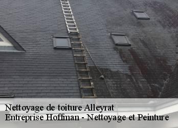 Nettoyage de toiture  23200