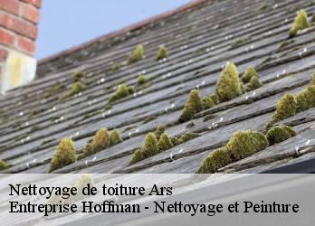 Nettoyage de toiture  23480