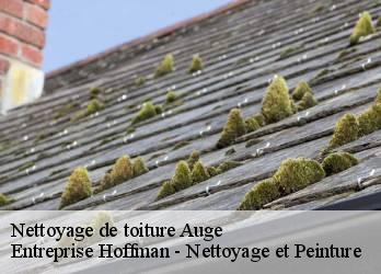 Nettoyage de toiture  23170