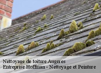 Nettoyage de toiture  23210