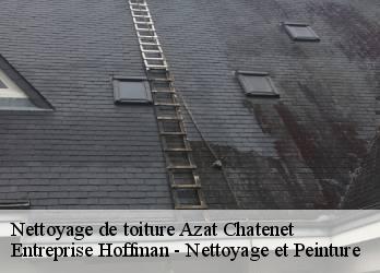 Nettoyage de toiture  23210