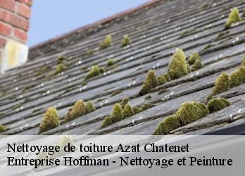 Nettoyage de toiture  23210