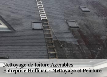 Nettoyage de toiture  23160