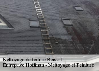 Nettoyage de toiture  23260